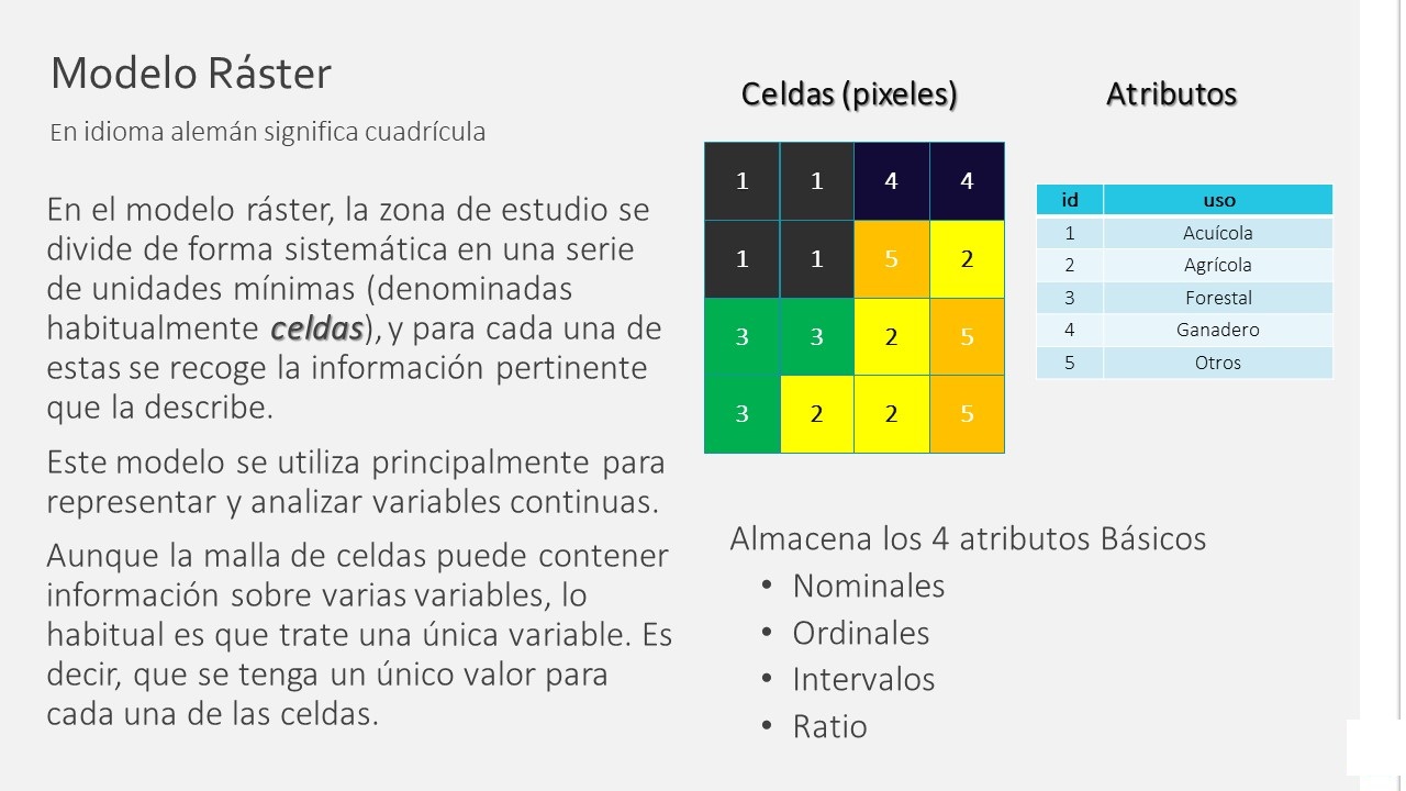 El modelo raster