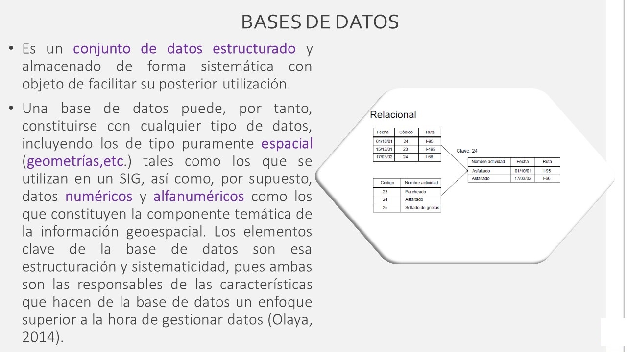 Bases de datos